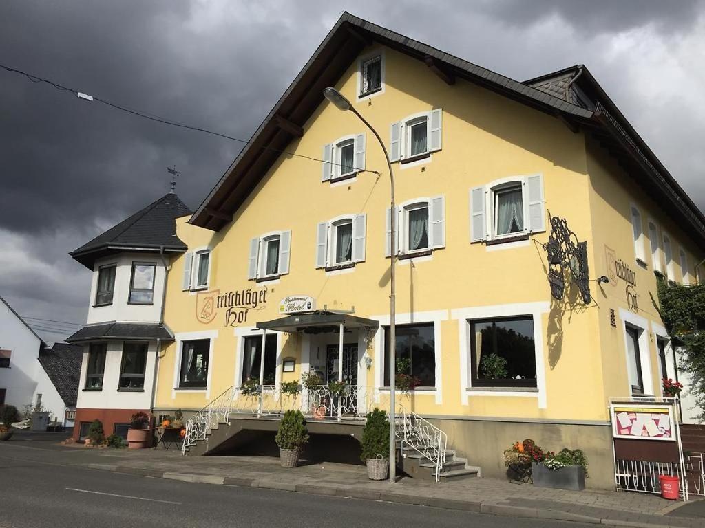 Отель Dreischlaeger Hof Нойштадт Экстерьер фото