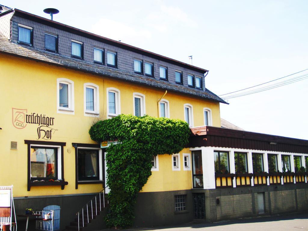 Отель Dreischlaeger Hof Нойштадт Экстерьер фото