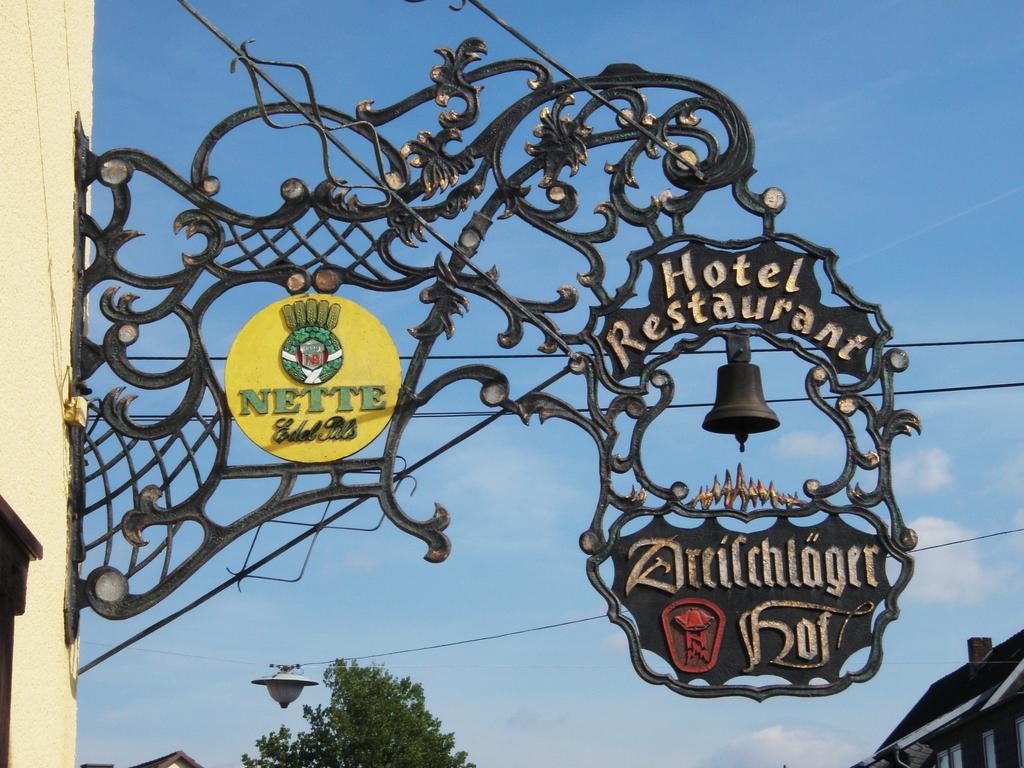 Отель Dreischlaeger Hof Нойштадт Экстерьер фото